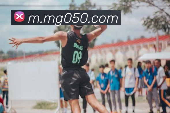 MG娱乐平台官网APP 高清赛事图